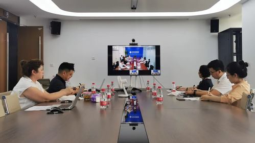 金普創(chuàng)新匯丨中關(guān)村獨角獸企業(yè)升哲科技參加金普新區(qū)云上對接會 信息技術(shù)咨詢服務