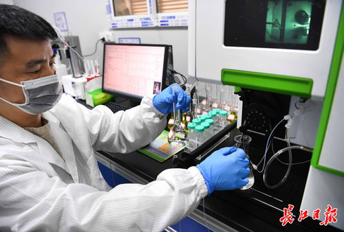 武漢中小企業借腦高校，以專精特新勁頭角逐信息技術賽道