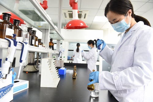 科技管家服務(wù)能手 資陽(yáng)生產(chǎn)力促進(jìn)中心如何以信息技術(shù)咨詢助力政企發(fā)展