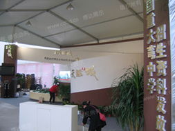 成都博達展覽展示服務 專業(yè)打造卓越展覽體驗